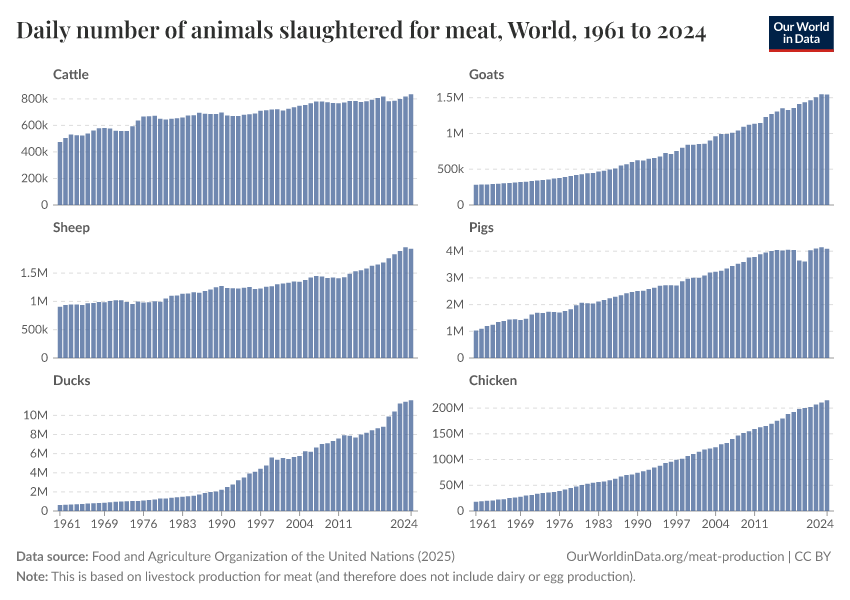 Daily number of animals slaughtered for meat